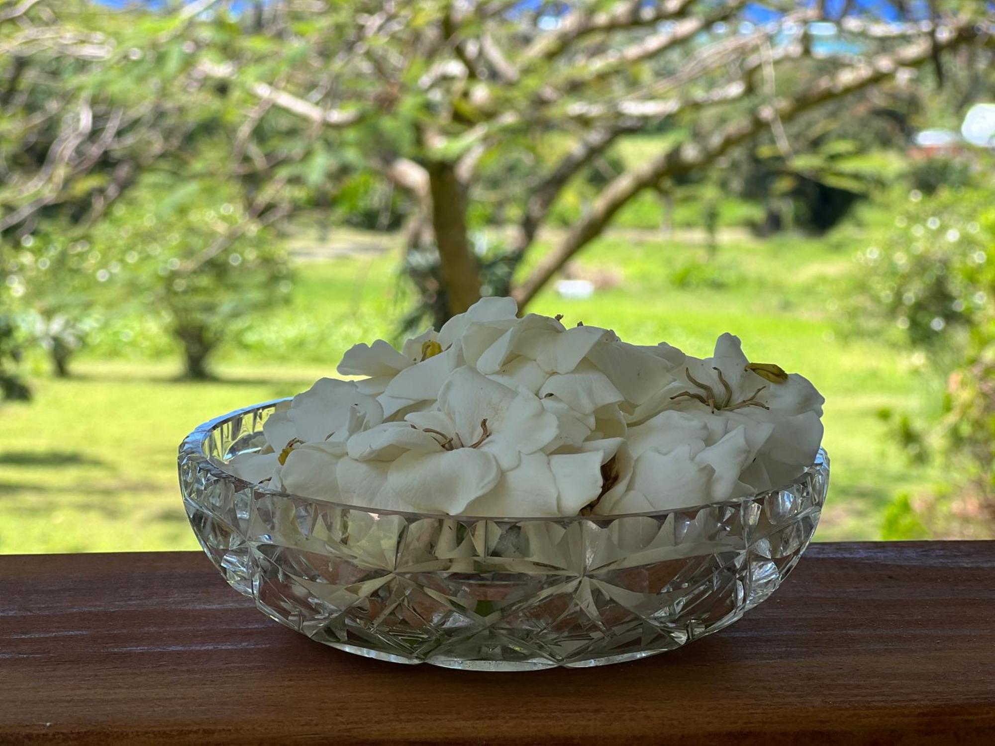 拉罗汤加Avocado Retreat别墅 外观 照片